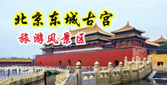啊啊啊用力插我视频中国北京-东城古宫旅游风景区